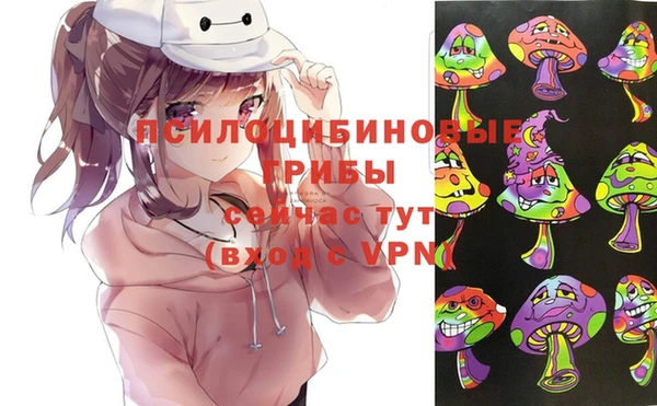 спиды Майский