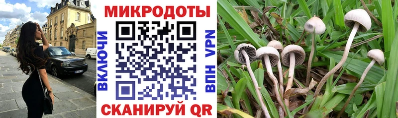 Купить где Касимов Галлюциногенные грибы MAGIC MUSHROOMS